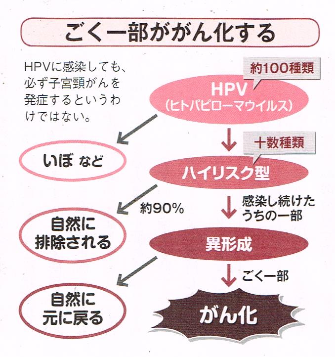 ごく一部が癌化する