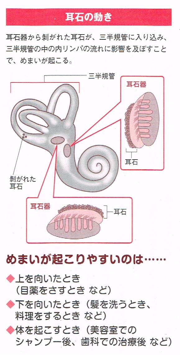 耳石の働き